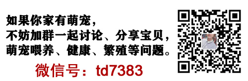 狗狗疫苗每年打狂犬要多少錢_狗狗每年都要打狂犬疫苗嗎_狗狗疫苗每年打狂犬要打幾次