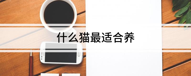 什么貓最適合養(yǎng)