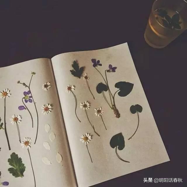 如何制作干花