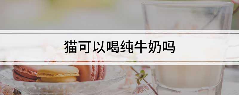 貓可以喝純牛奶嗎