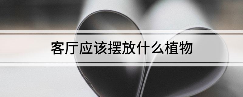 客廳應(yīng)該擺放什么植物