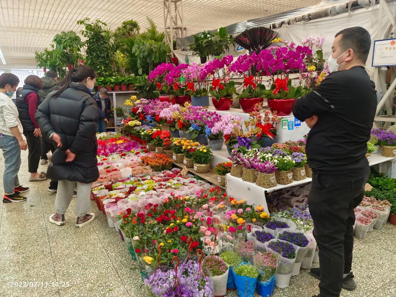 鮮花包裝袋_鮮花包裝紙_鮮花怎么包裝